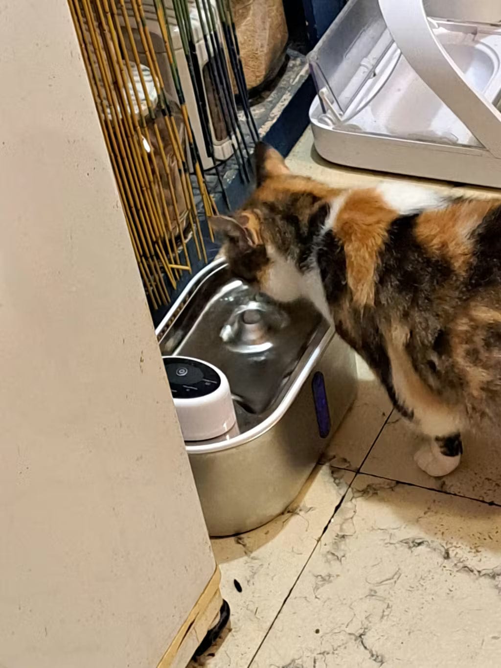 Customer photo review of Petbuds Flow Pet Drinking Fountain