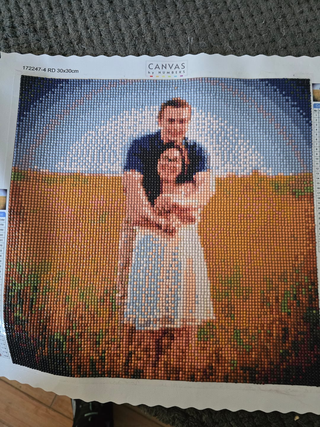 Customer photo review of Custom Diamond Painting