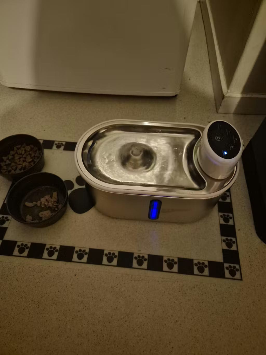 Customer photo review of Petbuds Flow Pet Drinking Fountain