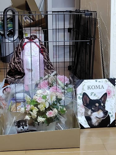 Customer photo review of Petcanvaオーダーメイド ペット似顔絵