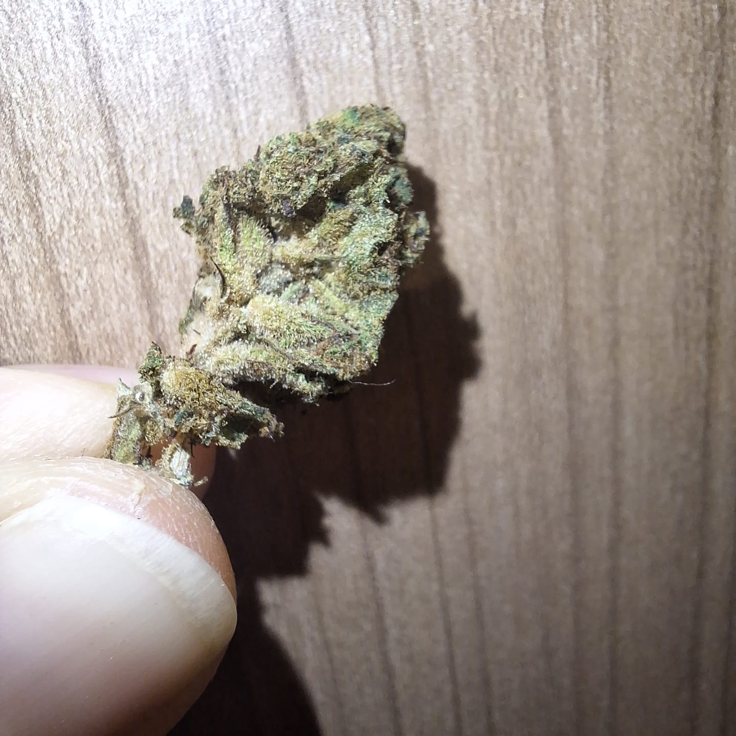 Customer photo review of GELATO X 40%