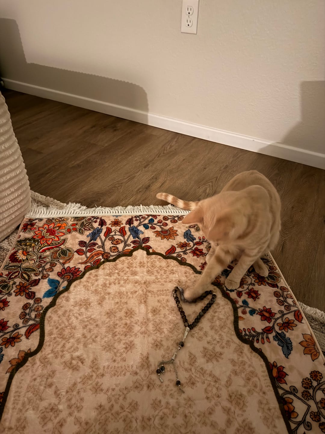 Customer photo review of Barakah Padded Prayer Mat