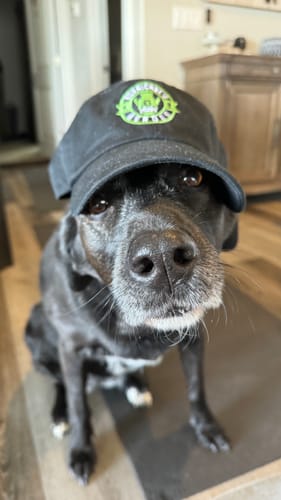 Customer photo review of HH Dad Hat