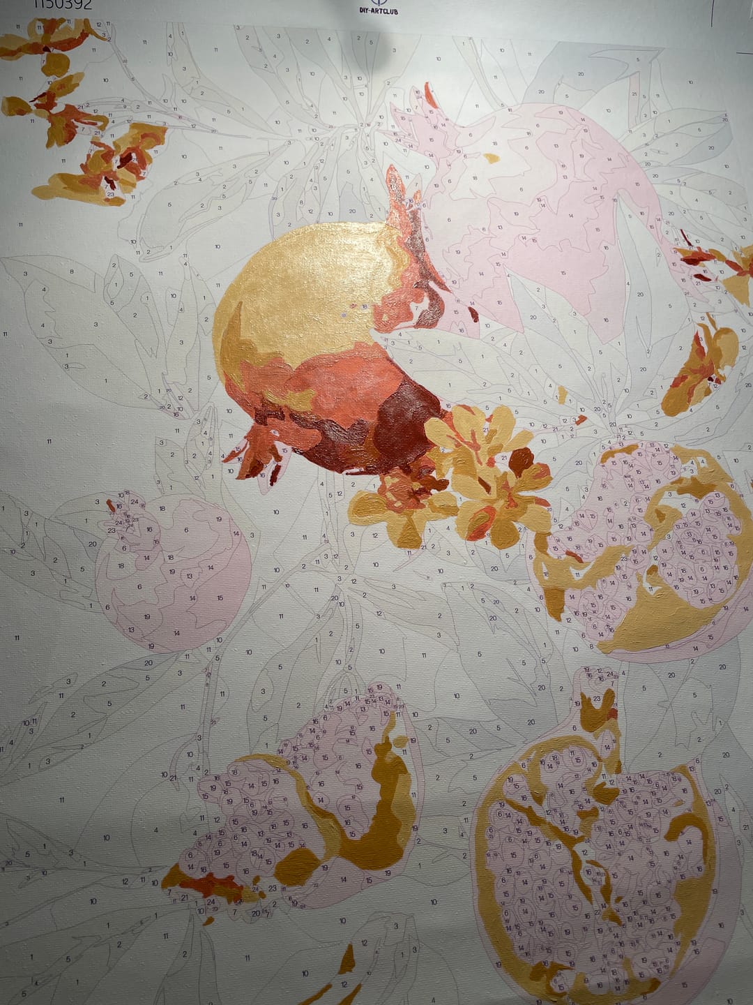 Customer photo review of Blooming pomegranates | Paint by Number