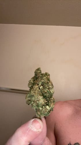 Customer photo review of NYC Diesel THCA Flower