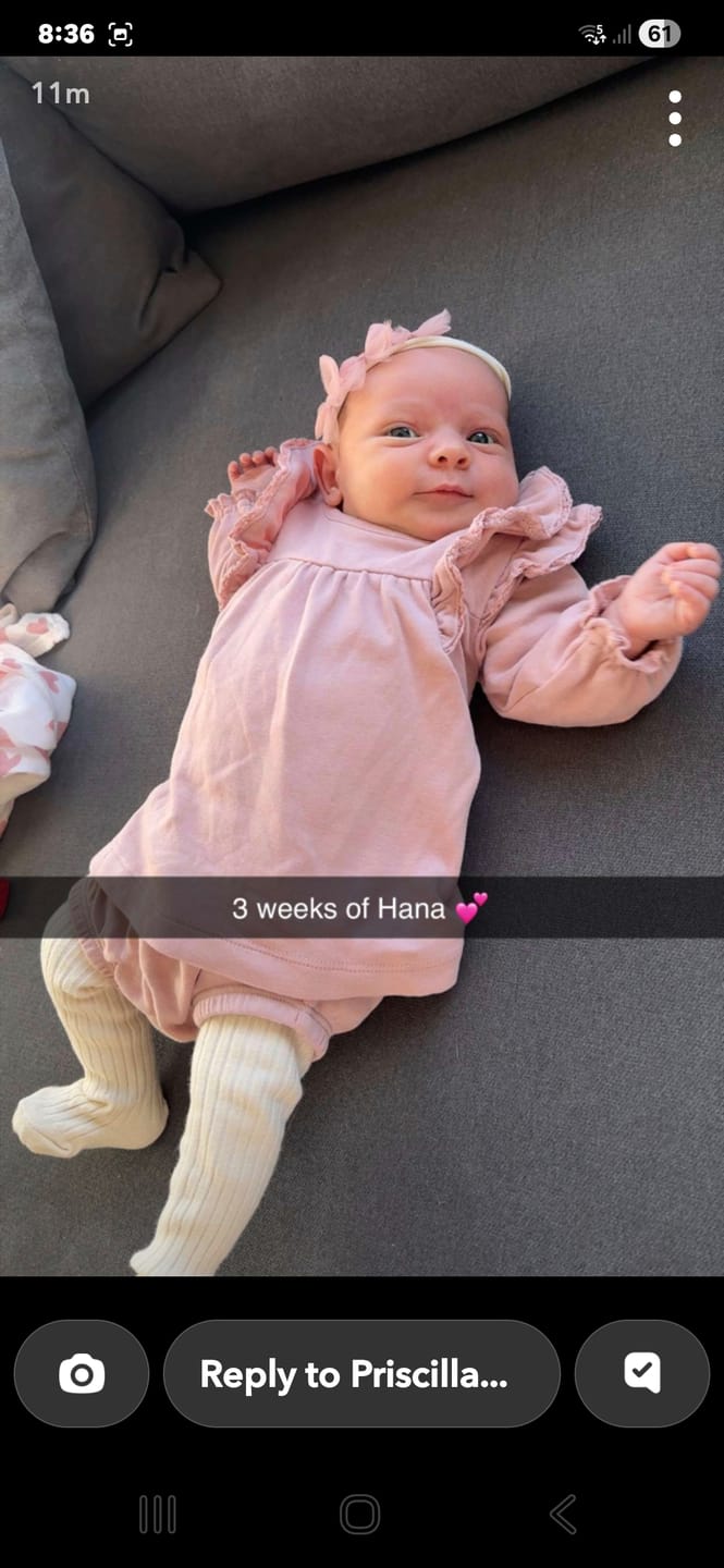 Customer photo review of Long Sleeve Flutter Dress || Rose
