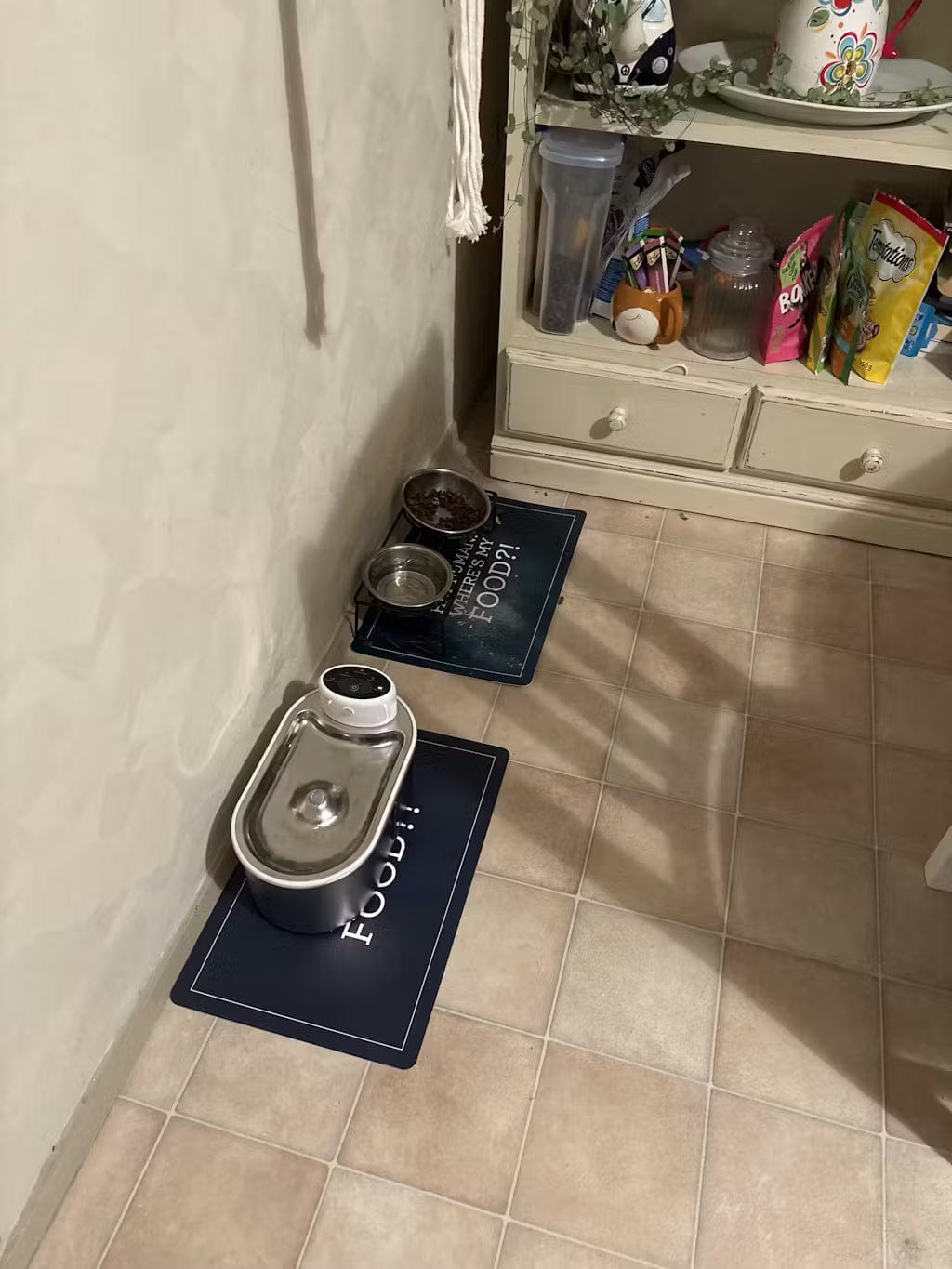 Customer photo review of Petbuds Flow Pet Drinking Fountain