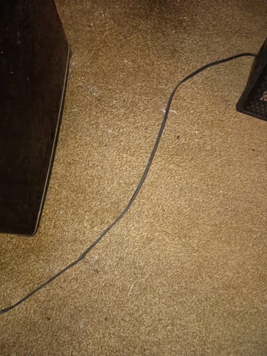 Customer photo review of Sugar Shake - 1oz