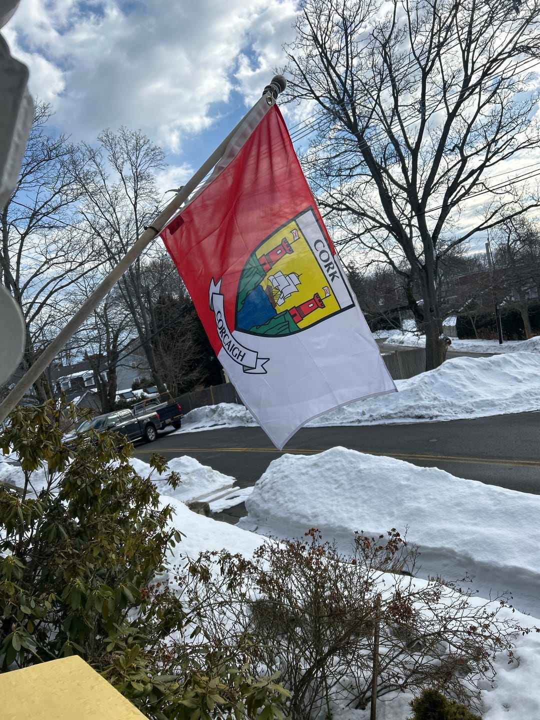 Customer photo review of Cork County Crest Flag