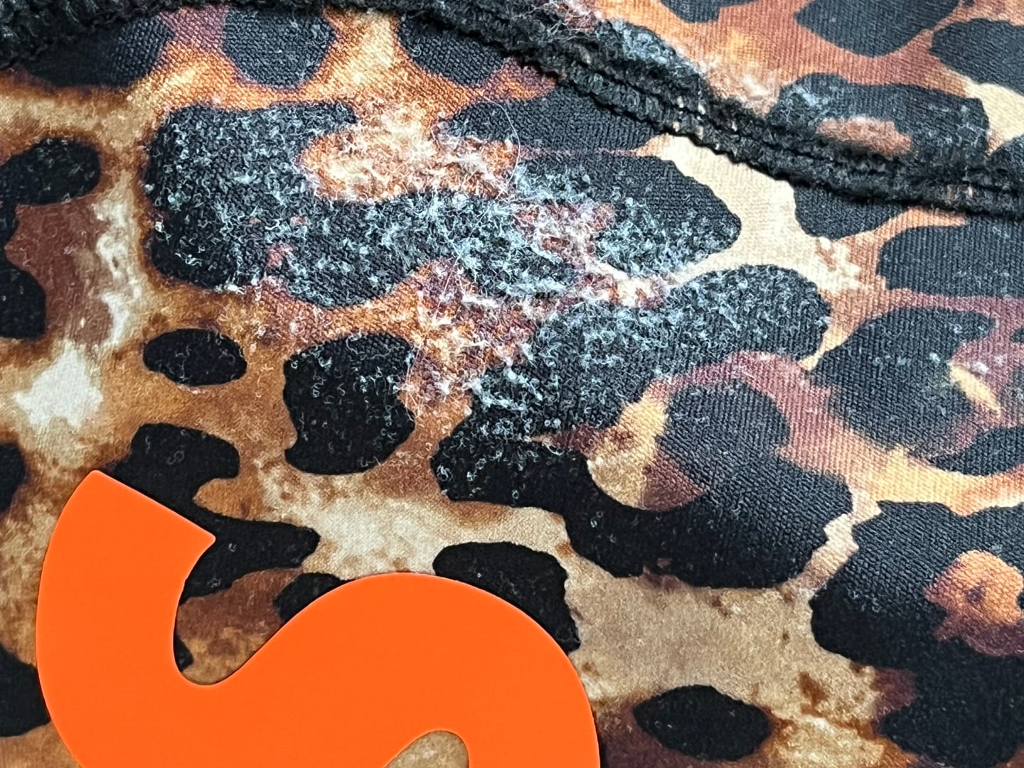 Customer photo review of Spines - Leopard Edition