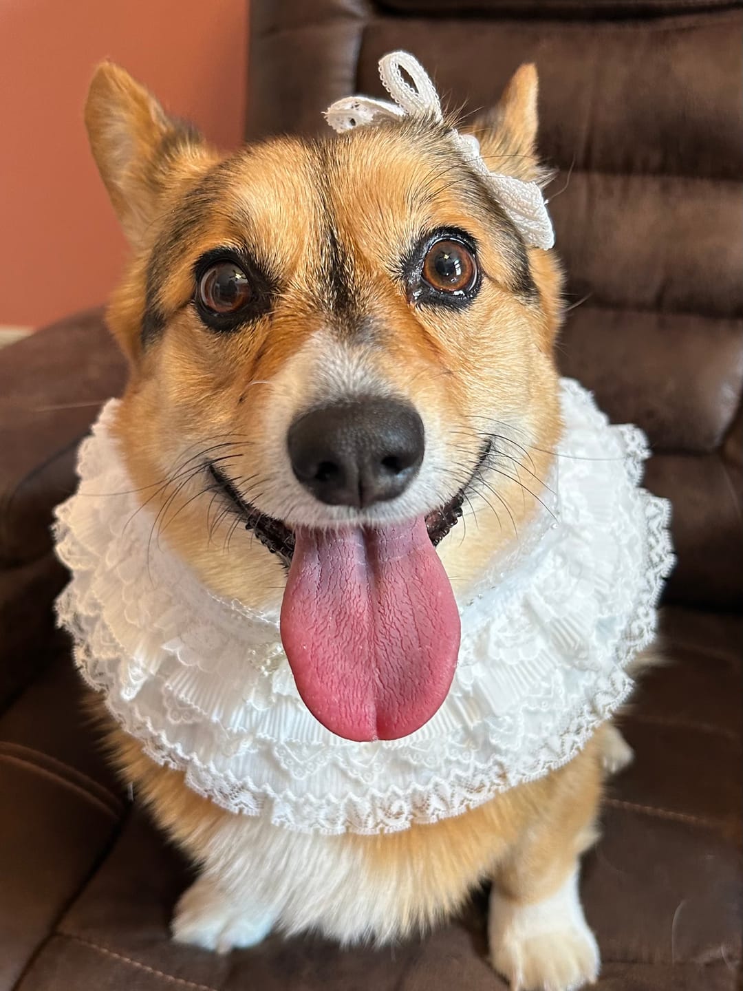 Customer photo review of Juliette – Lace Dog Dress | Elegant Formal Style