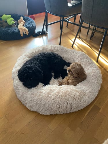 Customer photo review of CalmBed - Motverkar stress & hjälper mot ångest