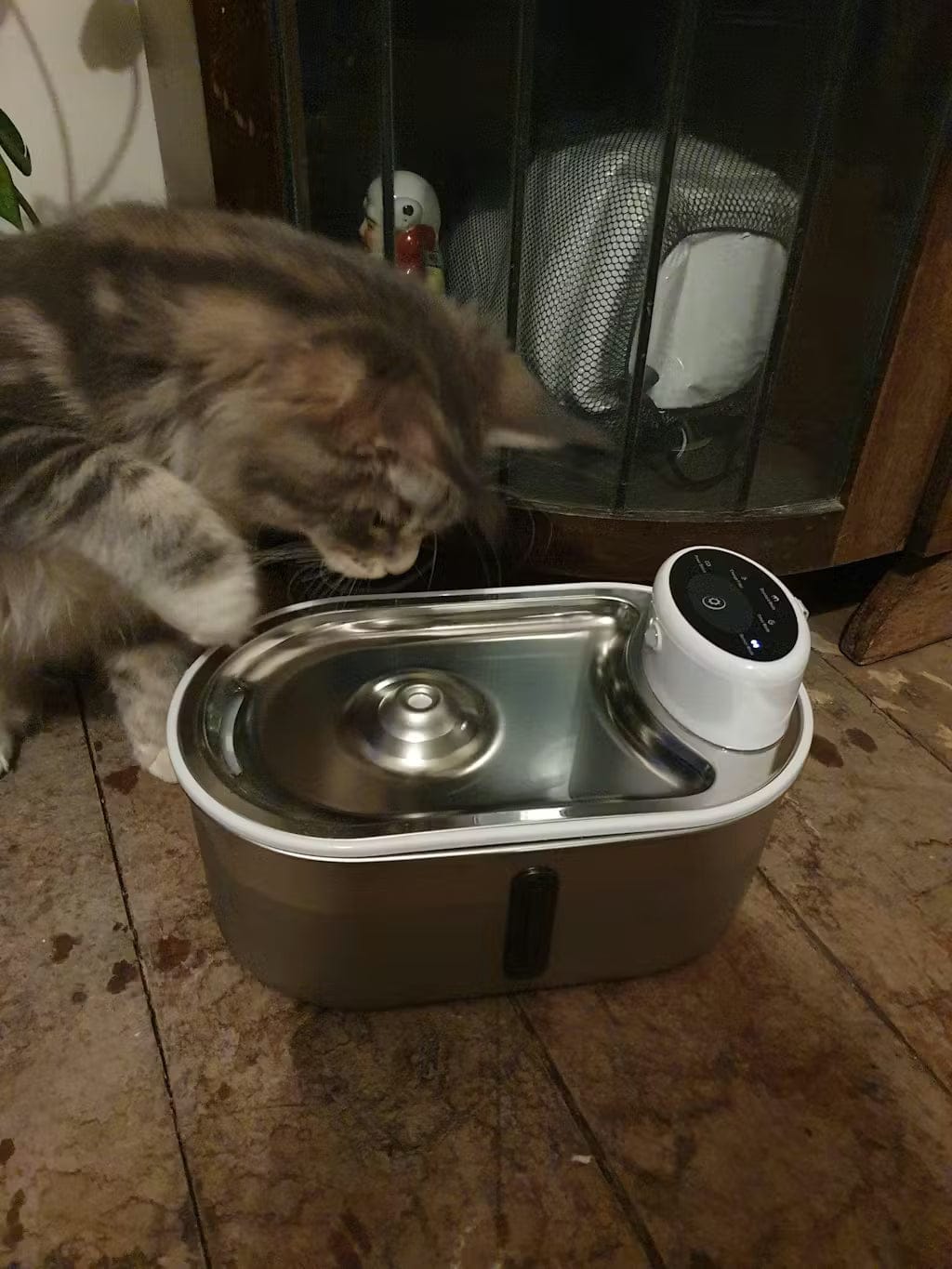 Customer photo review of Petbuds Flow Pet Drinking Fountain