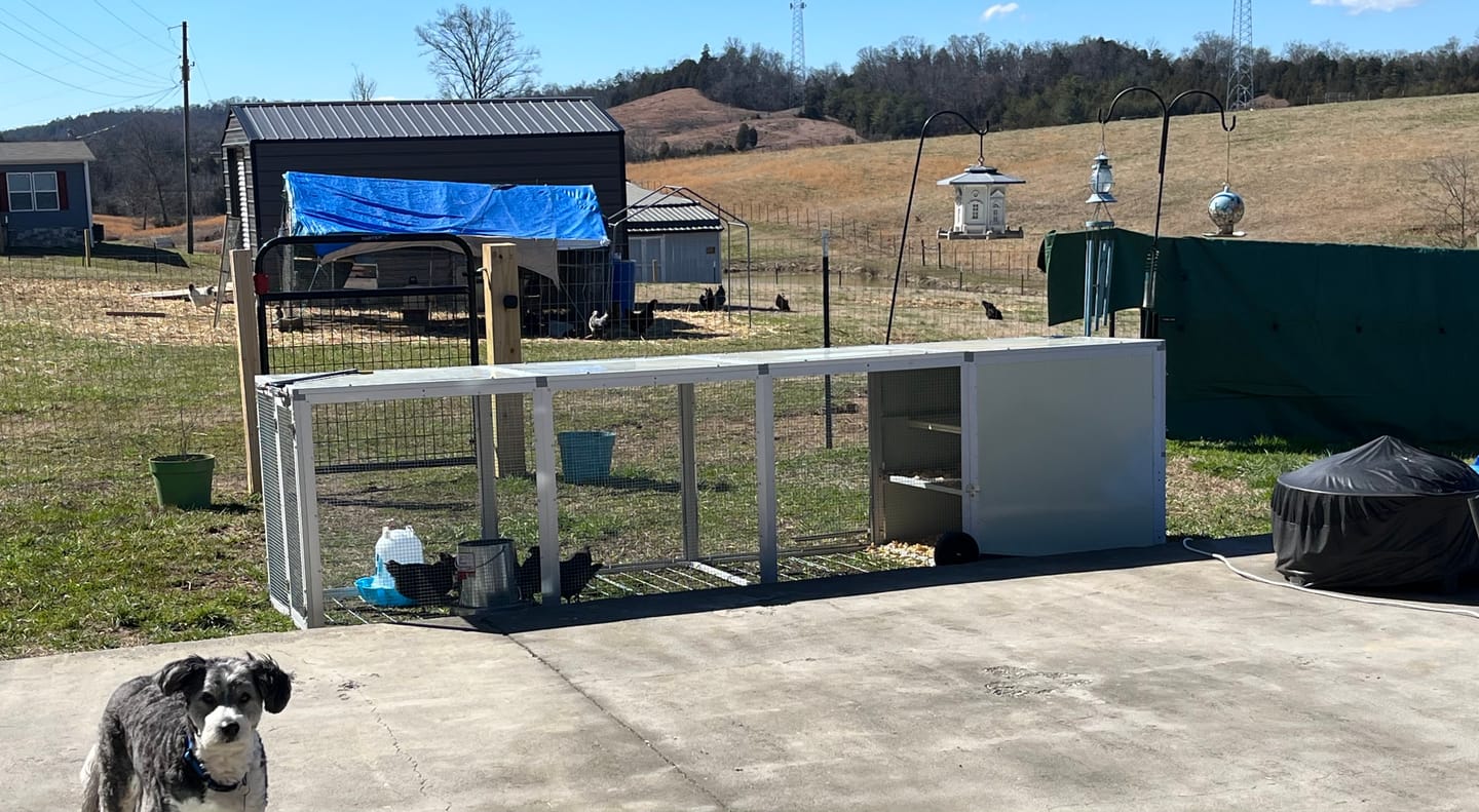 Customer photo review of Mobile Chicken Coop / Chicken Tractor