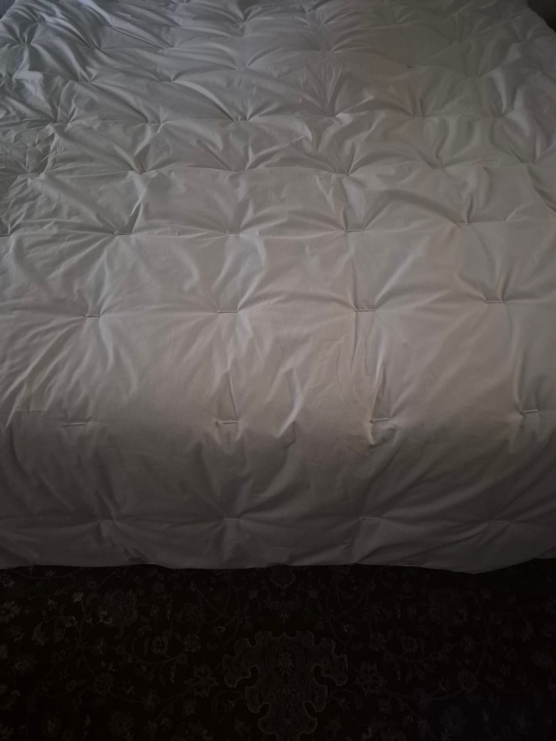 Customer photo review of Wool Comforter