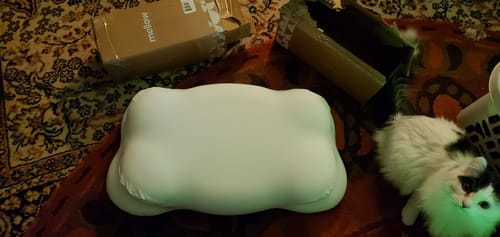 Customer photo review of Mellow CloudAlign™ Pillow
