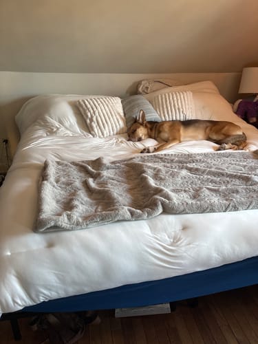 Customer photo review of MarshMellow Comforter