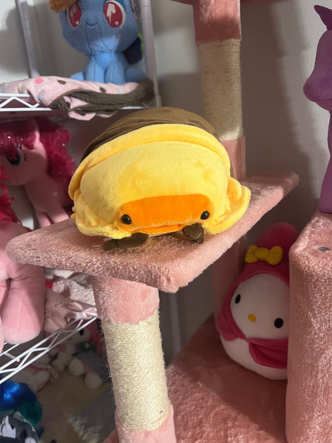Customer photo review of Rubber Ducky Isopod Soft Stuffed Plush Toy