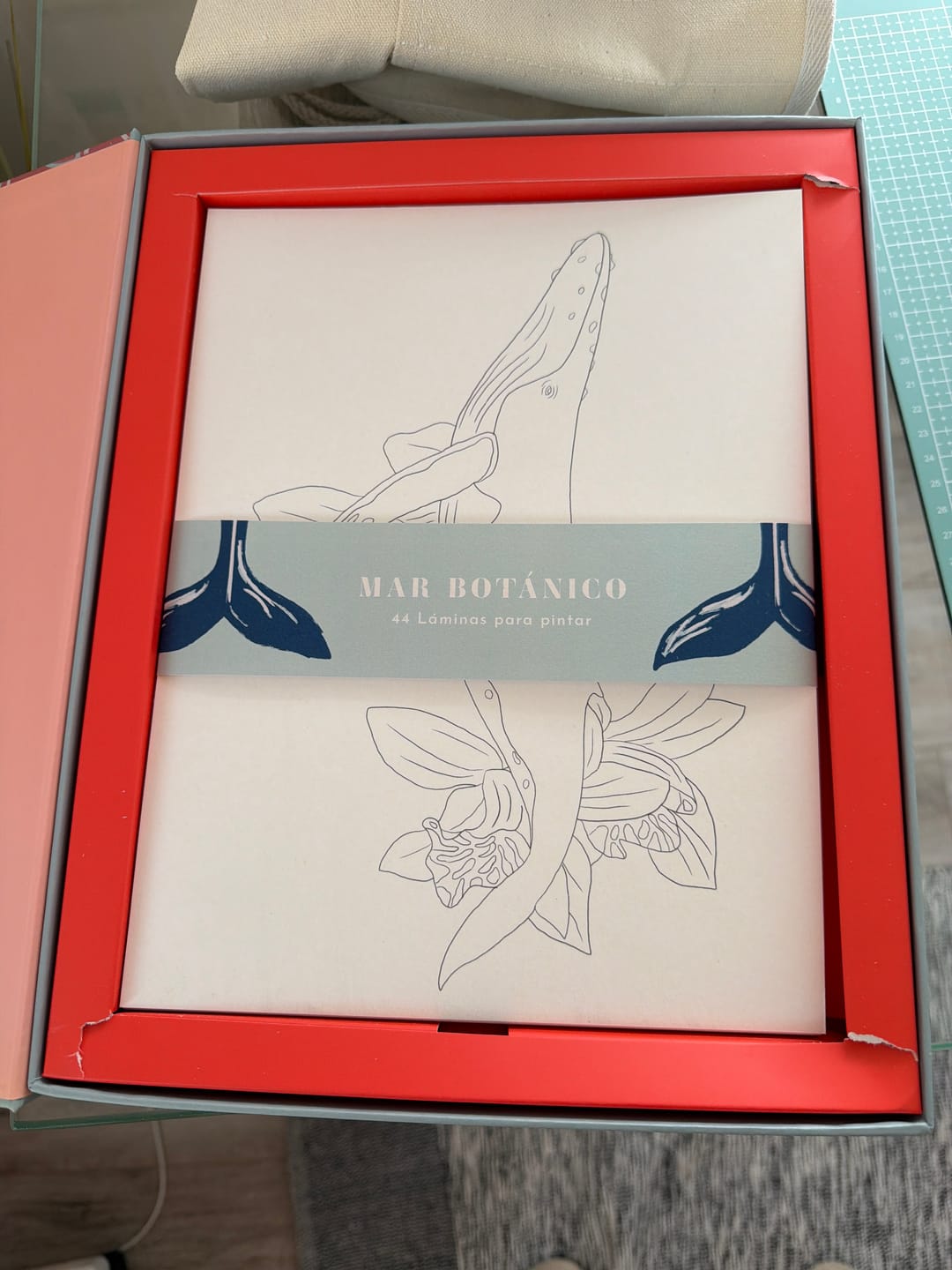 Customer photo review of Caja Mar Botánico con 44 láminas para colorear