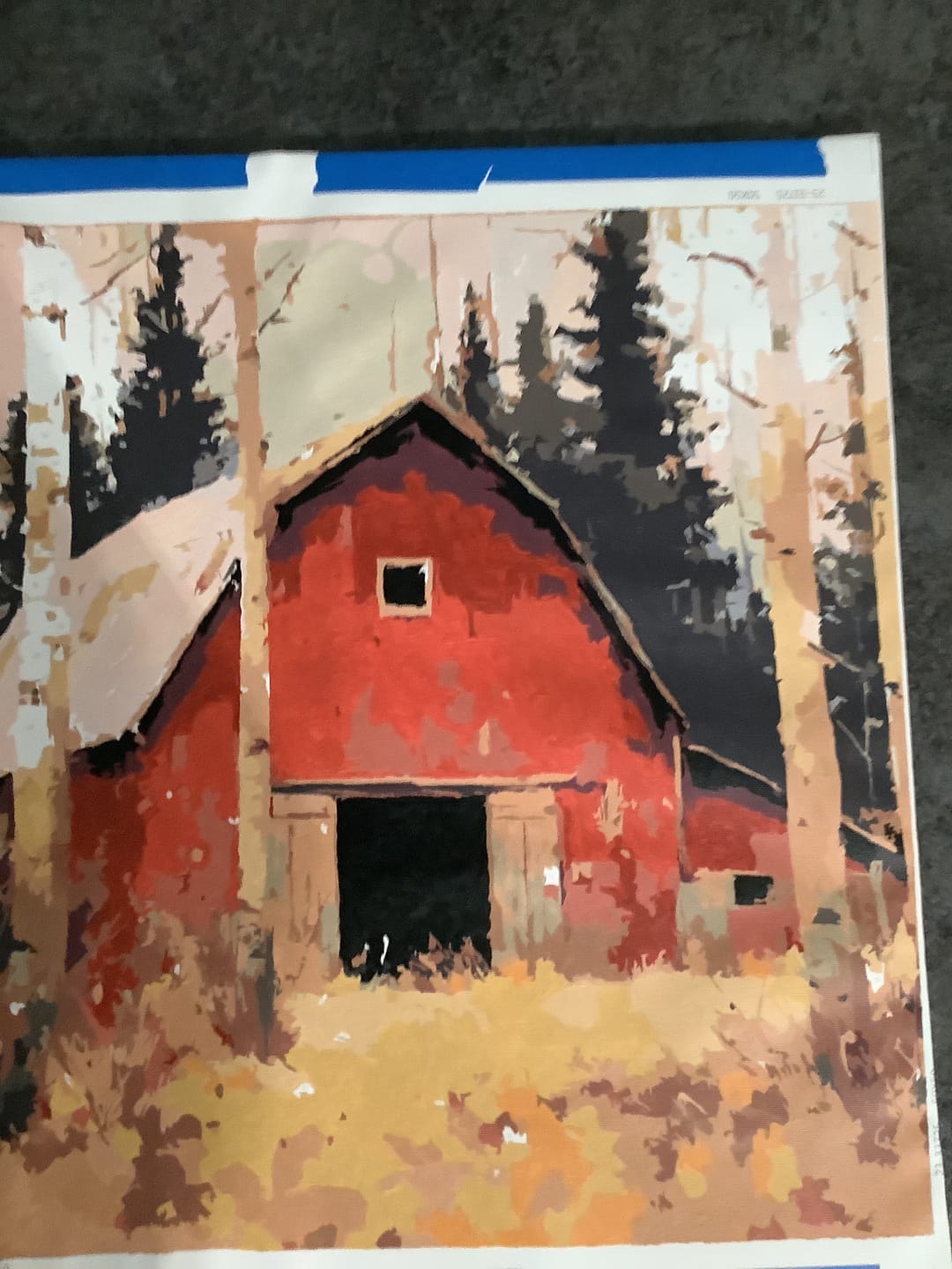 Customer photo review of Custom Paint by Number