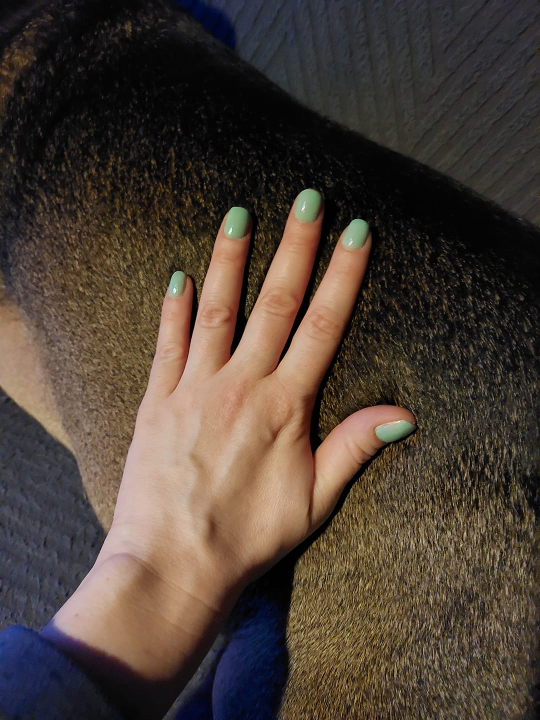 Customer photo review of Bamboo Bliss Dipping Powder
