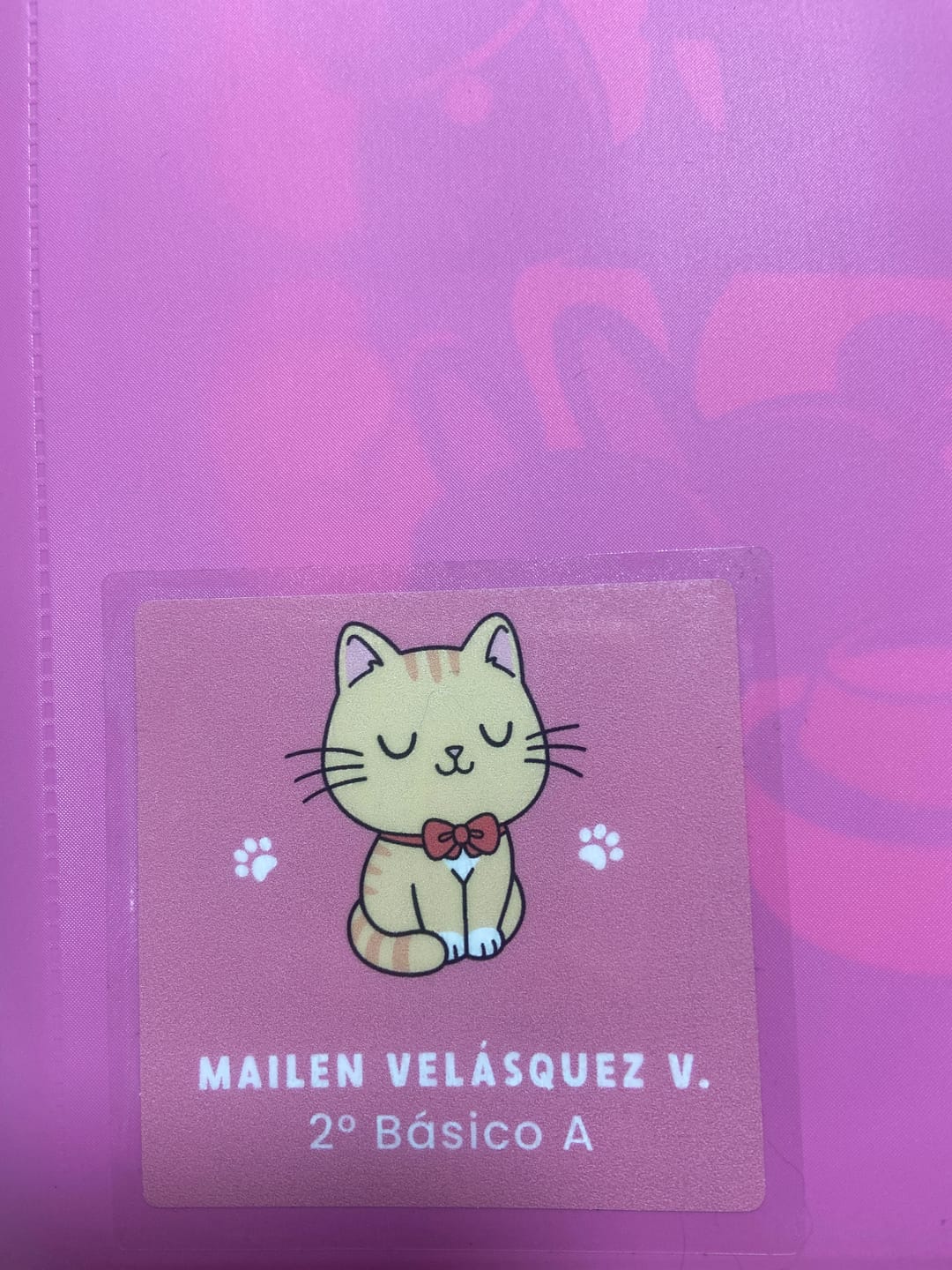 Customer photo review of Etiquetas escolares "Gatitos M1"