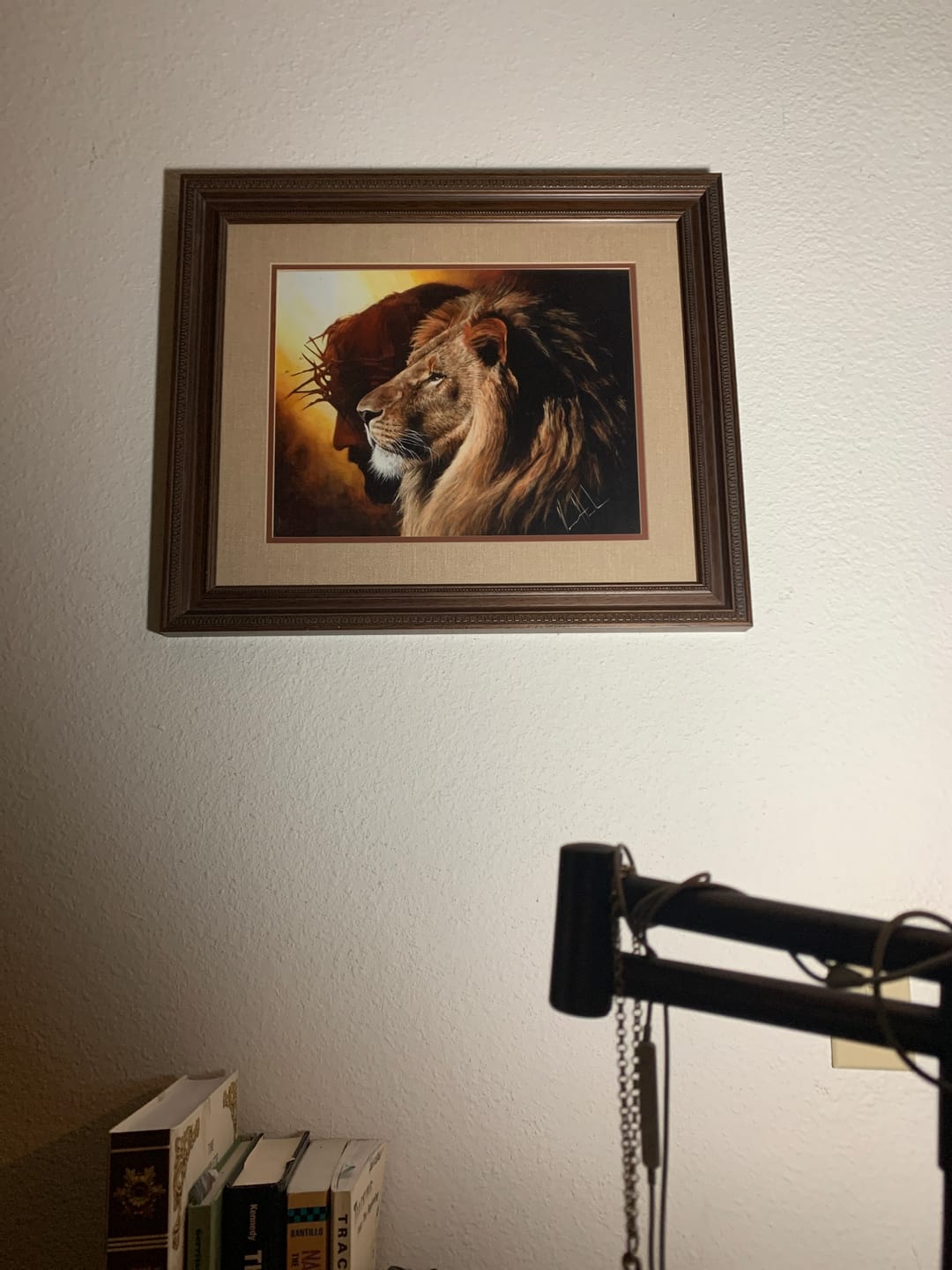 Customer photo review of The Lion of Judah