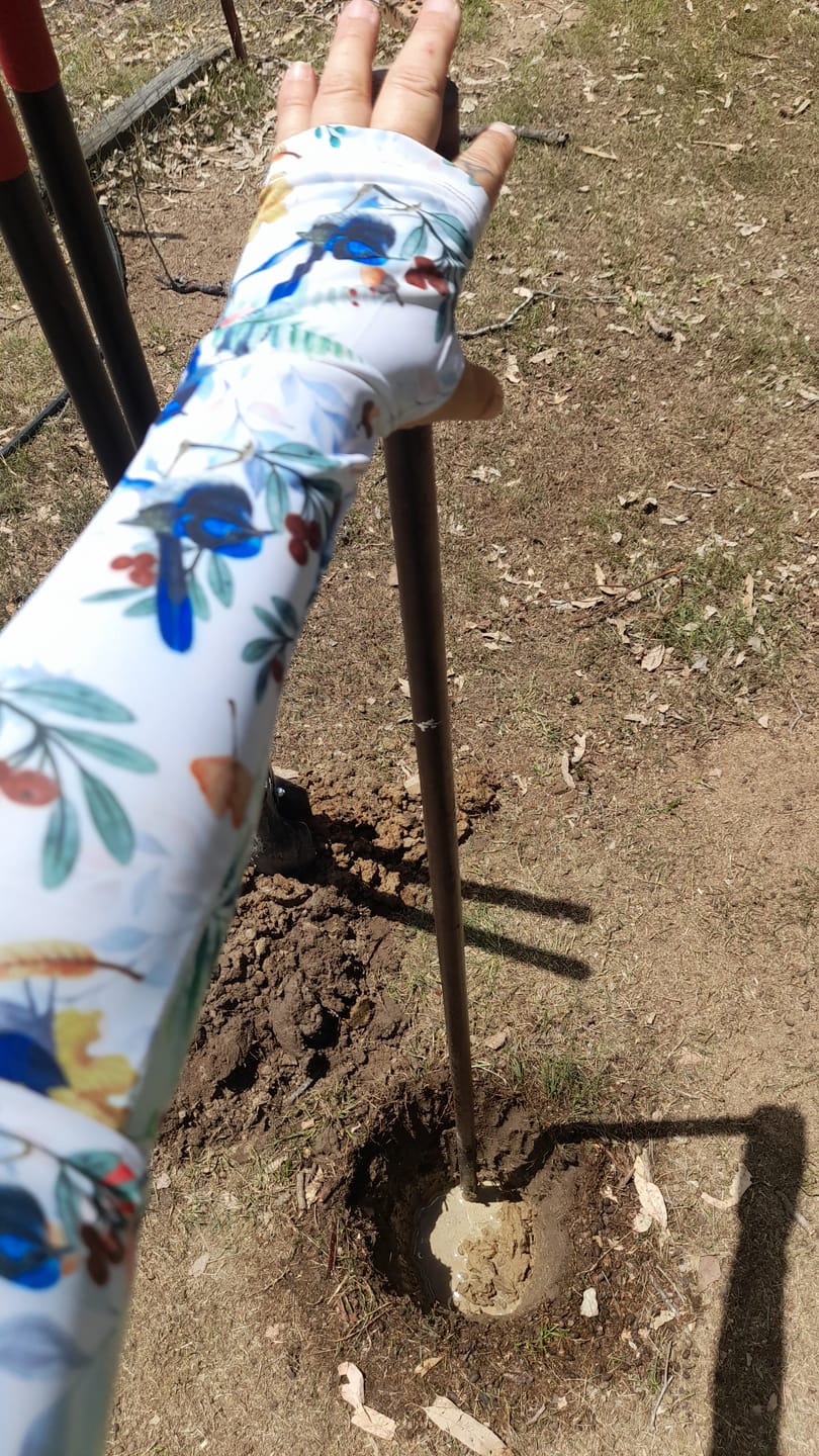 Customer photo review of Gardening Protection Sleeves - Blue Wren White