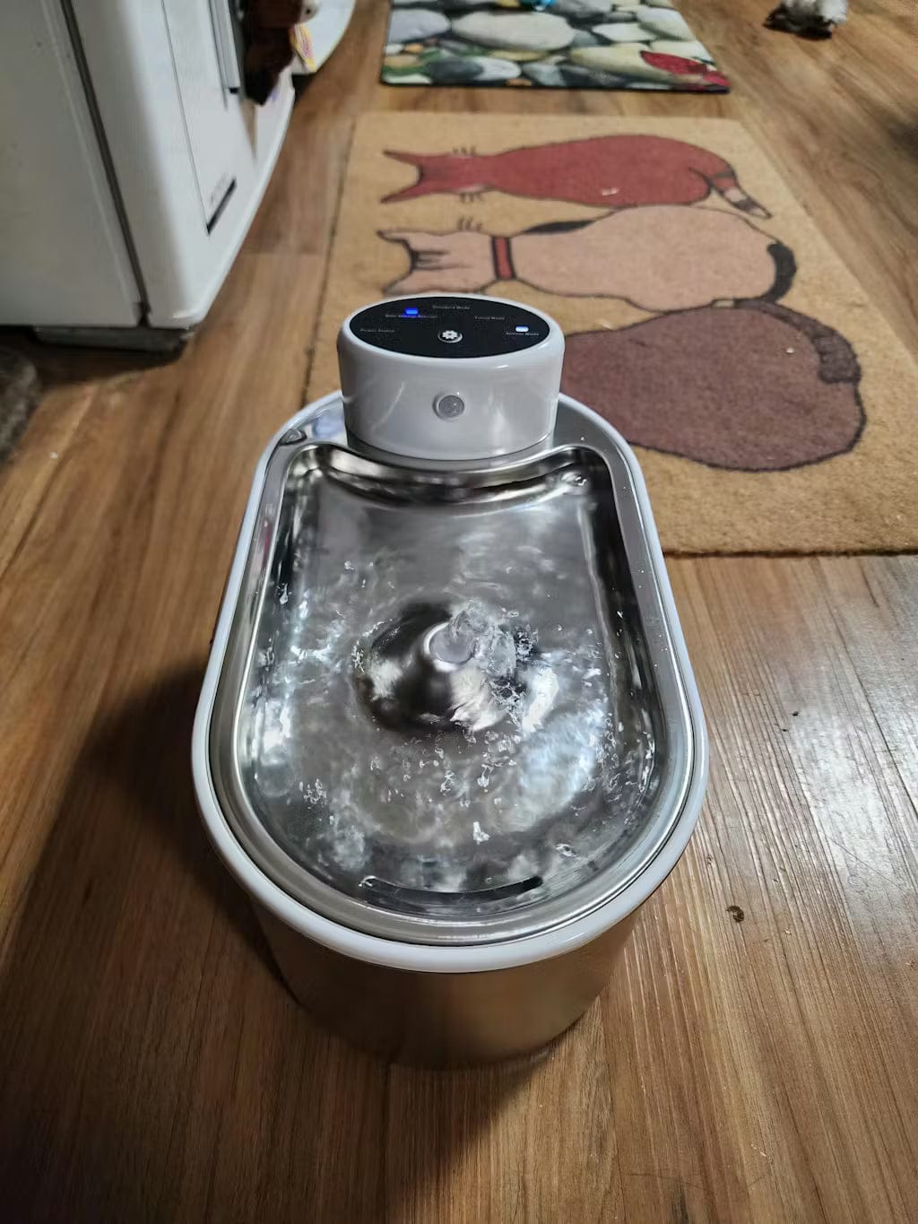 Customer photo review of Petbuds Flow Pet Drinking Fountain