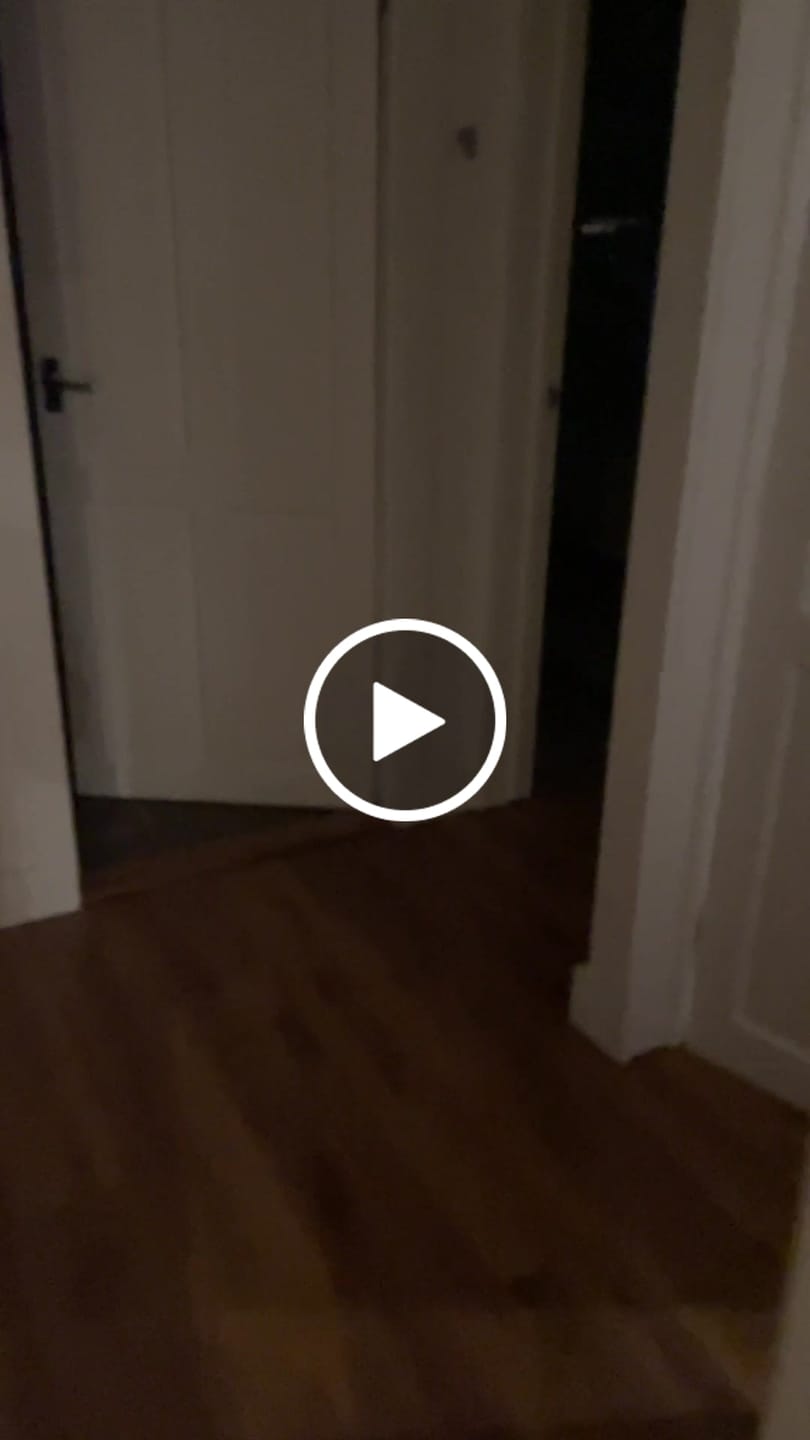 Customer video review of WalkingPad X21