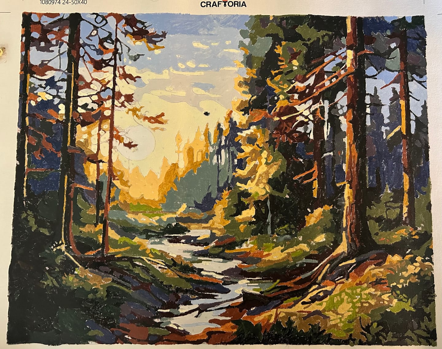 Customer photo review of Sunlit Tranquility