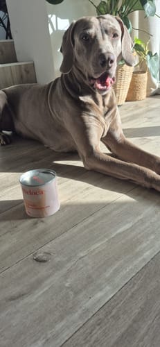 Customer photo review of Complément démangeaisons