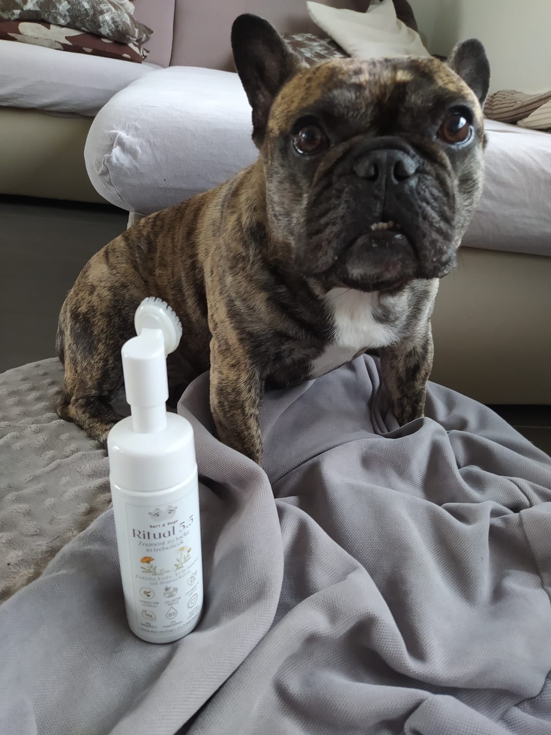 Customer photo review of Bert & Hugo Ritual 5.5 – Wissenschaft für Pfoten & Bäuchlein