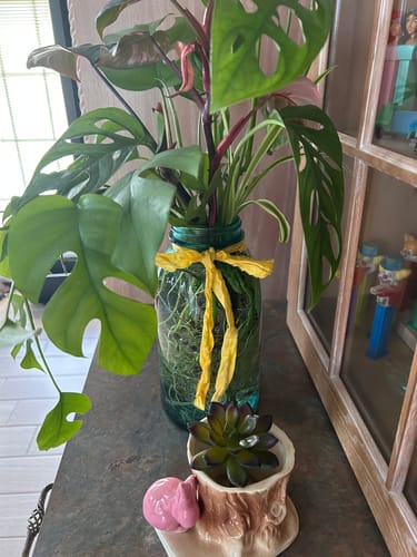 Customer photo review of Monthly Artisan Card Subscription