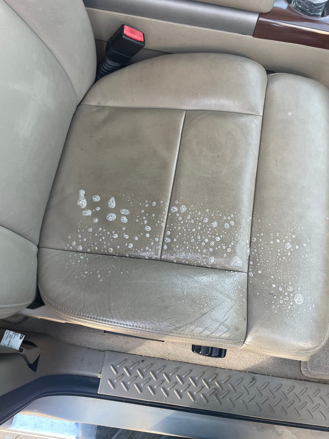 Customer photo review of Interior Cleaner & Protectant