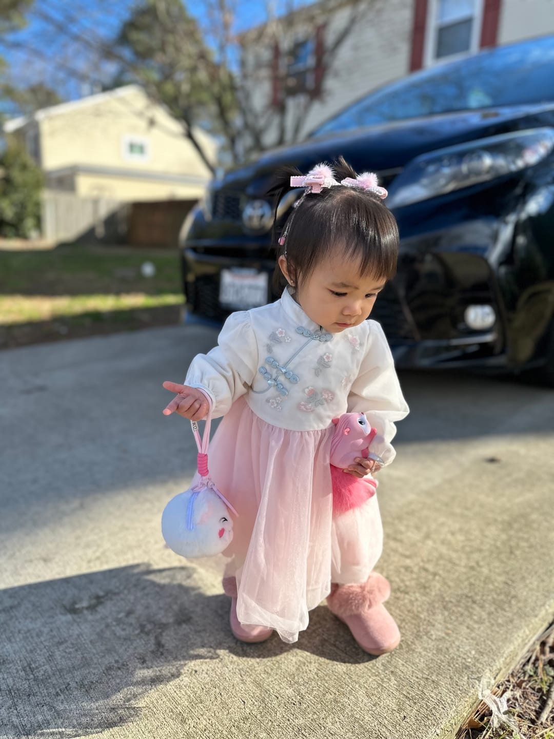 Customer photo review of Dave&Bella Toddler Girls Chinese-style Pink Turtle Flower Embroidery Mesh A-line Dress