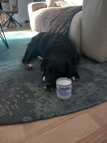 Customer photo review of Complément articulations