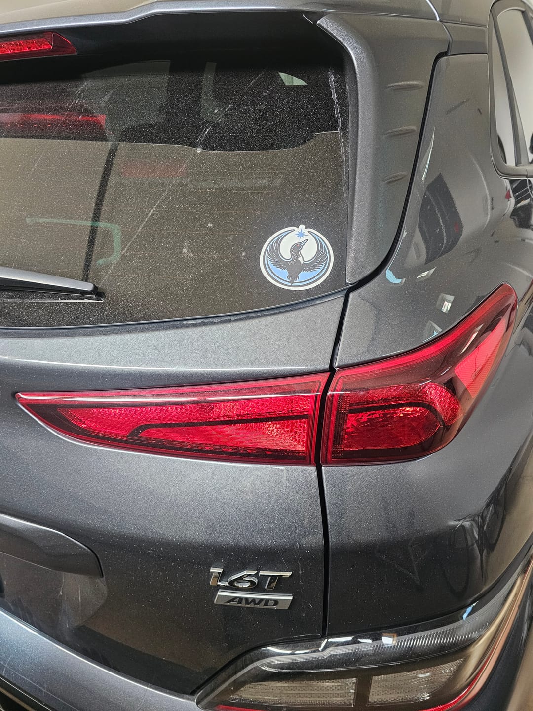 Customer photo review of Rebel Loon Sticker