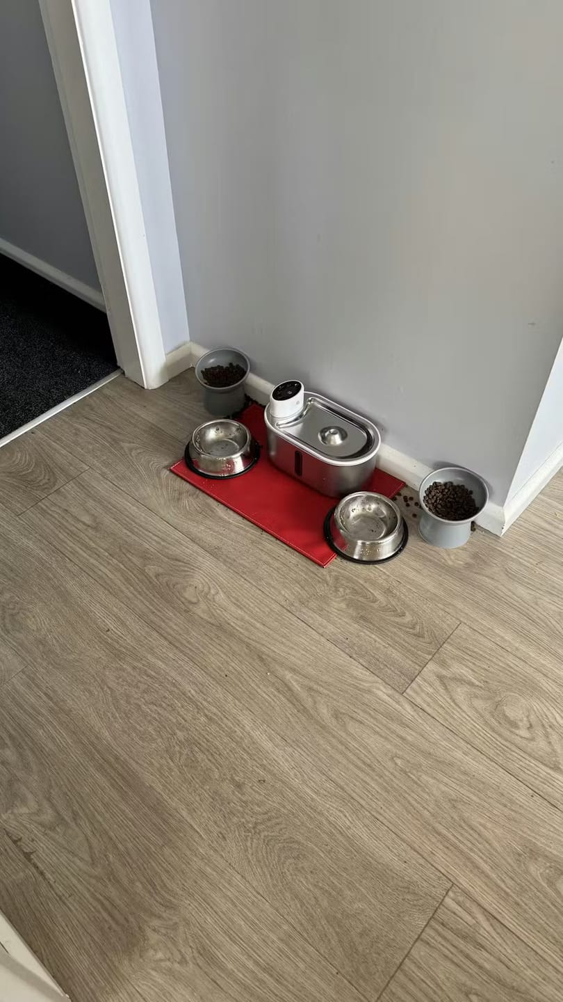 Customer photo review of Petbuds Flow Pet Drinking Fountain