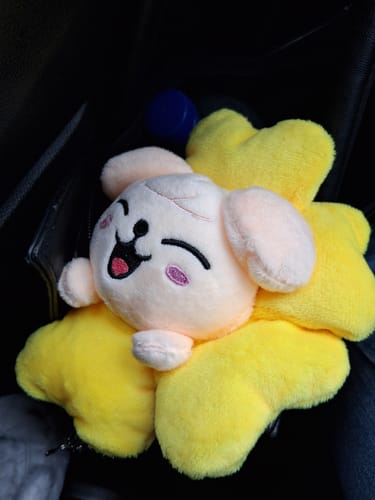 Customer photo review of Kpop Cartoon Storage Stationery Bag