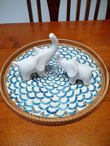 Customer photo review of Bloom Large Rattan Tray