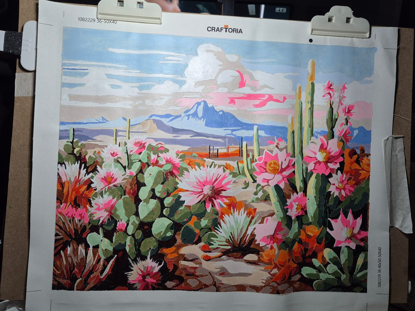 Customer photo review of Cactus Kit