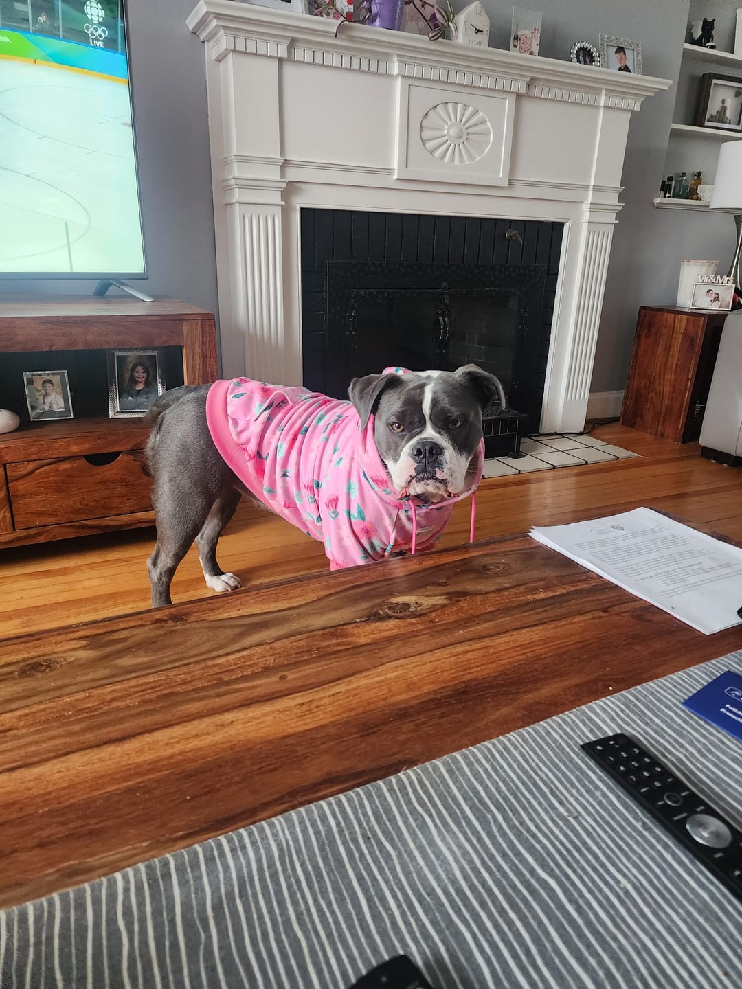 Customer photo review of Blossom Dog Hoodie - Pink