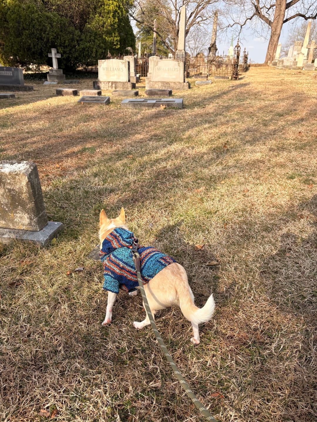 Customer photo review of Playa Poncho – Mystery Color (Bella, Charlie, or Fun Edition)