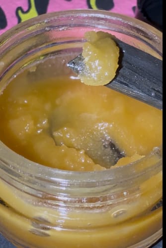 Customer photo review of Forbidden Guava | THCA Badder