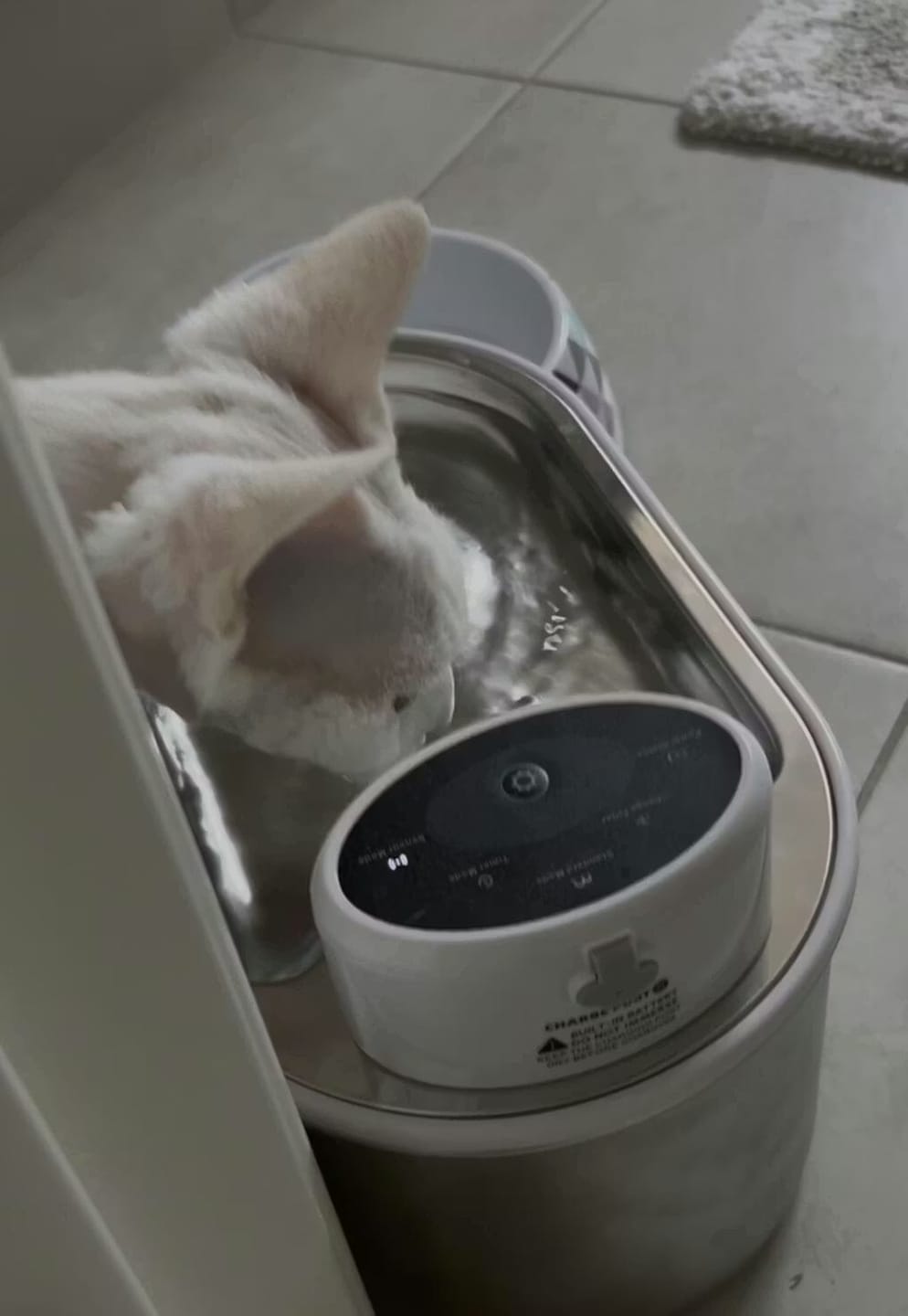 Customer photo review of Petbuds Flow Pet Drinking Fountain