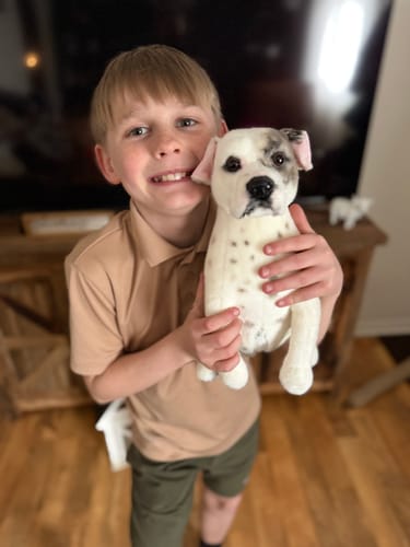 Custom Petslify plush reviewed by Katie H., handmade replica of their pet