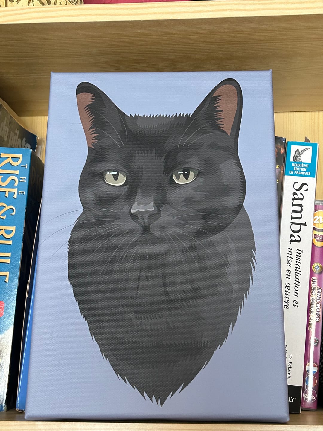 Customer photo review of Portrait cartoon - Dessin