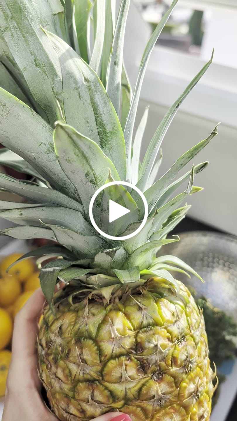 Customer video review of Ananas Flugware reifgeerntet (stk. ca 1,5kg!) Aktionspreis %