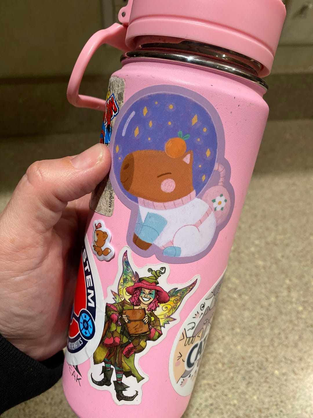 Customer photo review of Space Animal Stickers